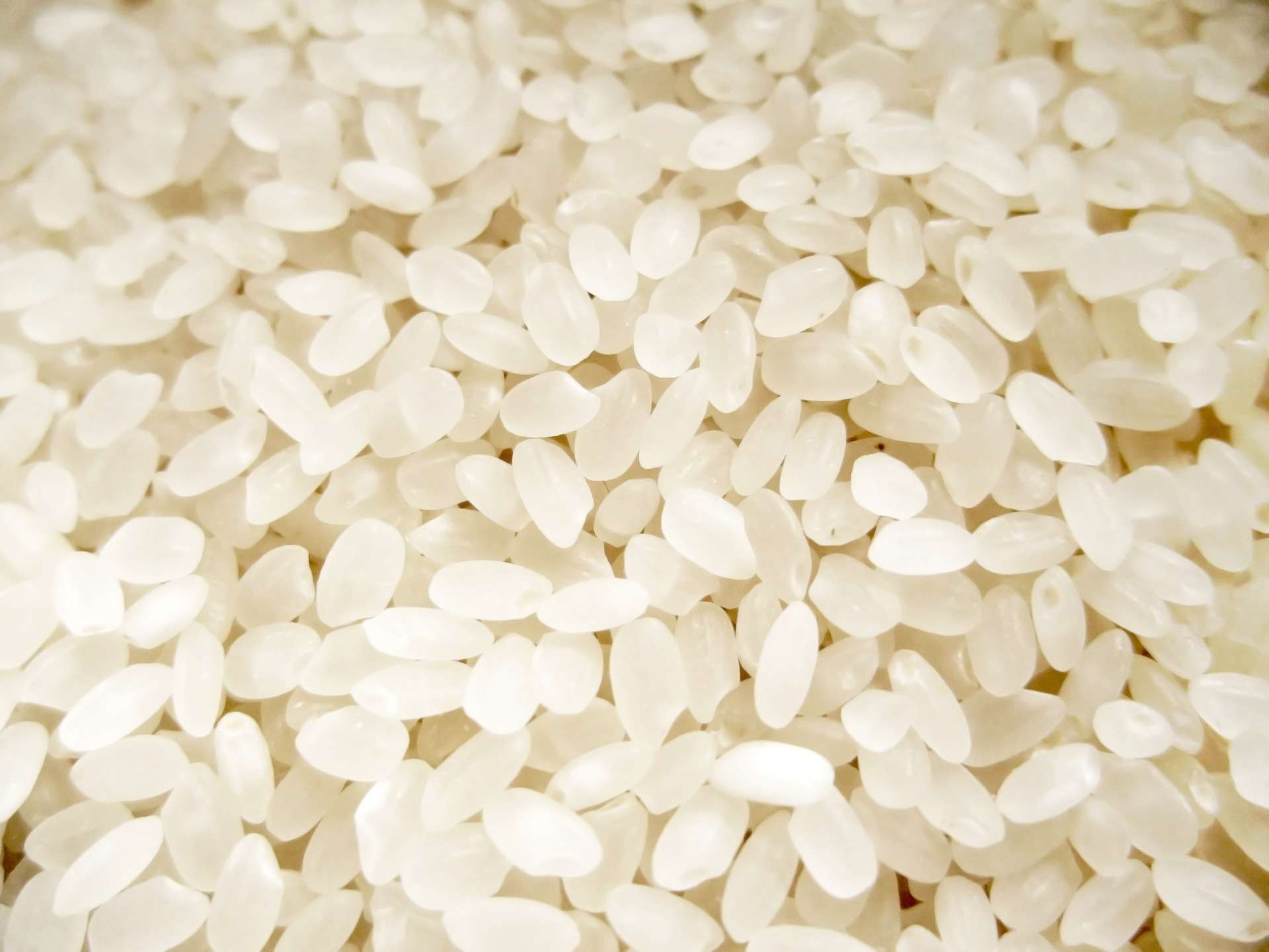 環境にも人の健康にも優しい米作り