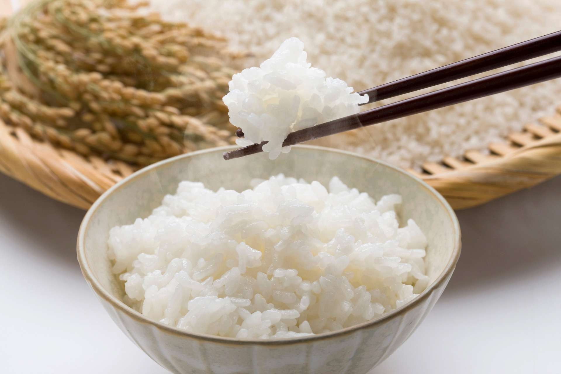 天草市は奉納する米を栽培しています
